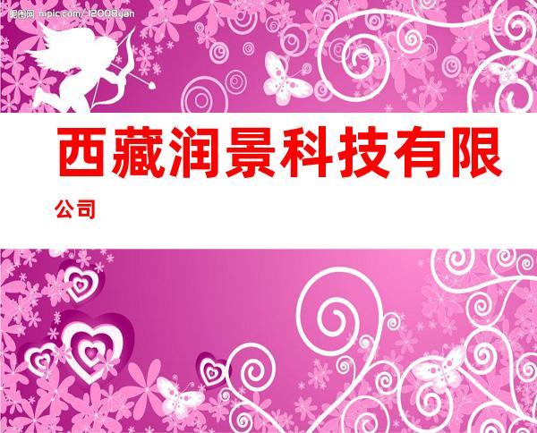 西藏润景科技有限公司